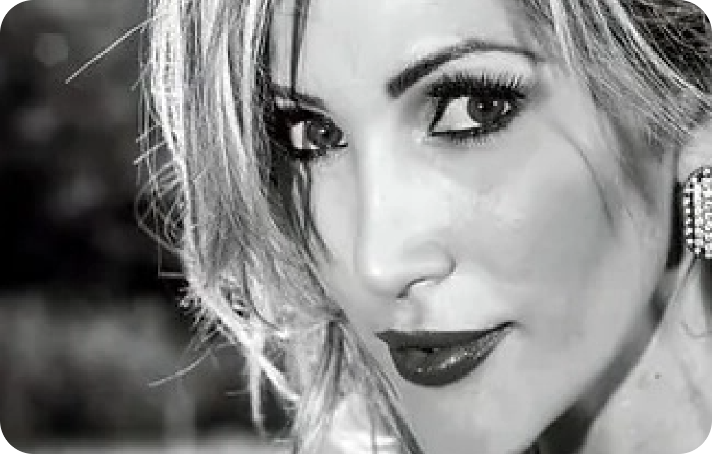 From Brazil to Tampa